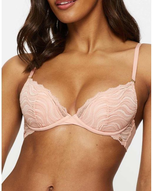 KBX Brown Lola Padded Plunge Bra