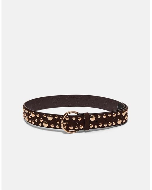 Stradivarius Brown Belt With Multi Irregular Studs