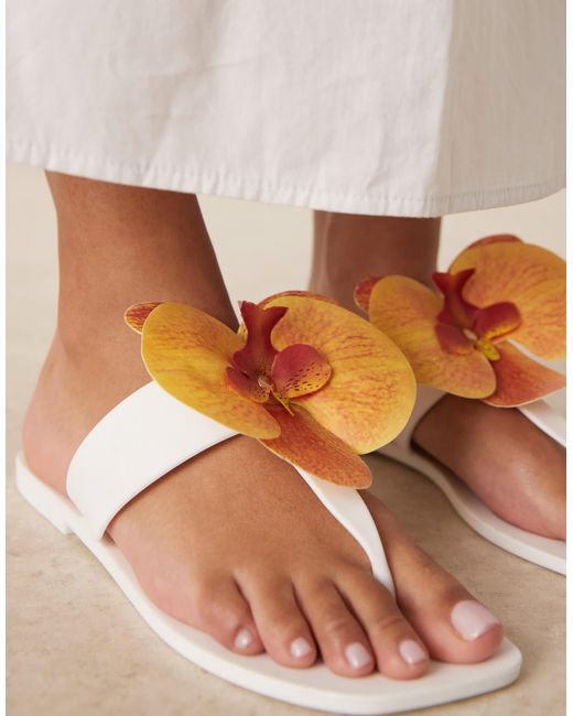 ASOS Natural – flutter – jelly-zehenstegsandalen