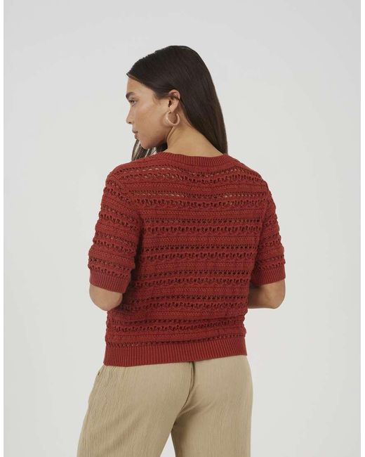 Brave Soul Red Short Sleeve Pointelle Knit Crew Neck Cardigan