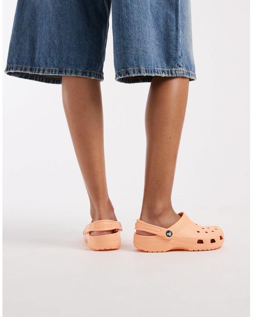 CROCSTM Multicolor – classic – clogs