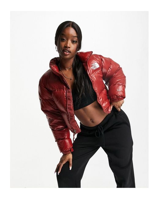 The North Face Synthetic Nuptse Cropped Jacket in Red | Lyst