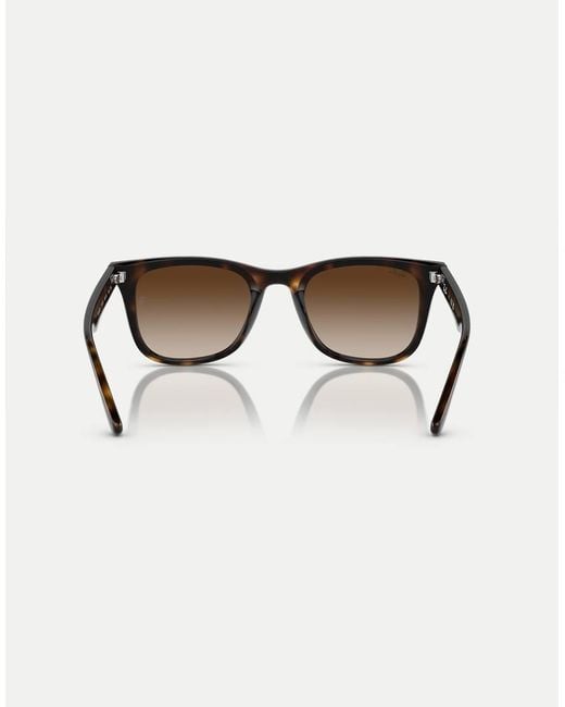 Ray-Ban Brown Sunglasses