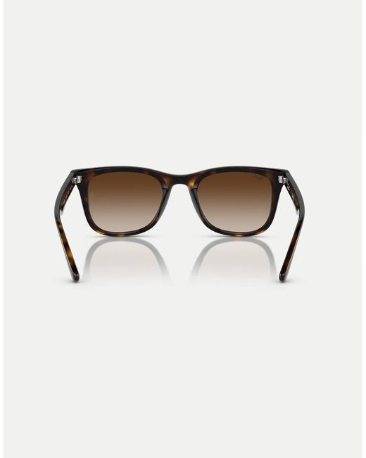 Ray-Ban Brown Sunglasses