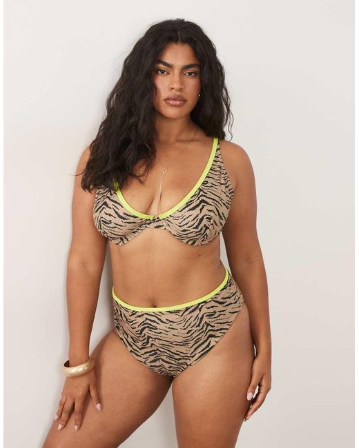 ASOS Brown Asos Design Curve Zaria High Leg High Waist Bikini Bottom With Contrast