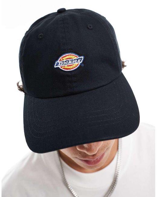 Dickies Hardwick in het Blue