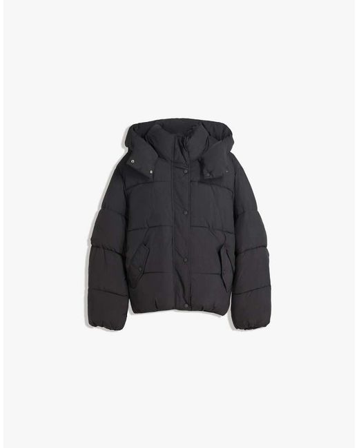 Bershka Gewatteerd Jack Met Capuchon in het Blue