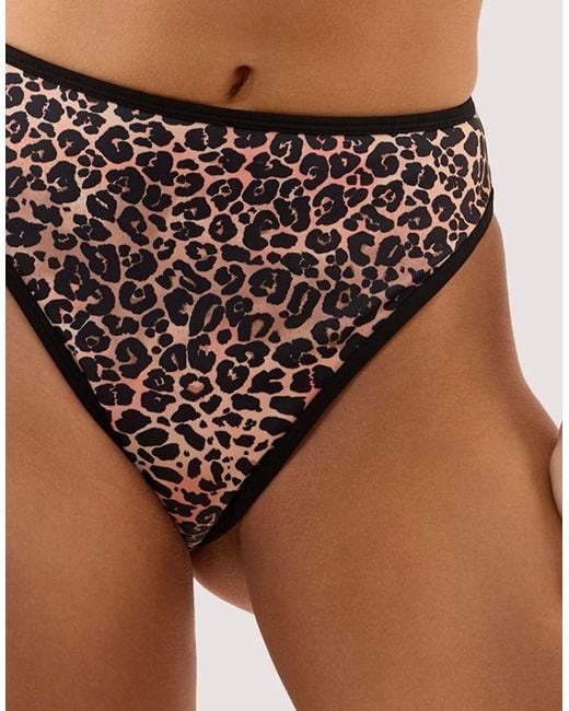Wolf & Whistle Brown Lorna Leopard Print High Waist Bikini Brief