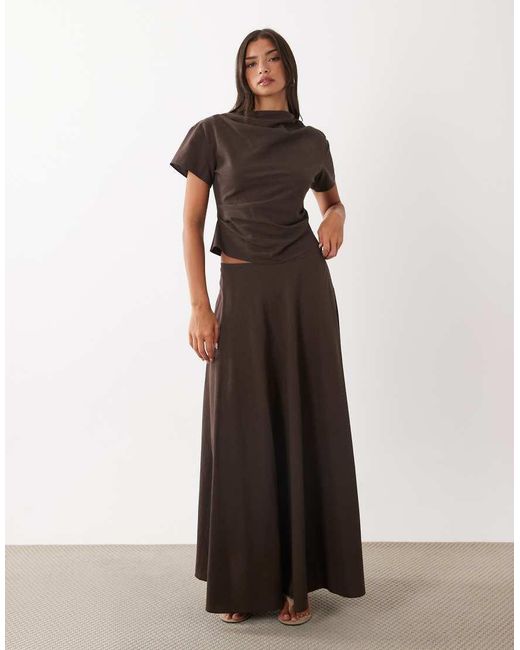 Halcyon Lioness de color Brown