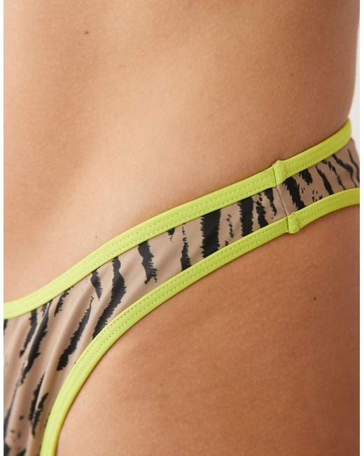 ASOS Brown Zaria Ibiza High Leg Brazilian Bikini Bottom With Contrast