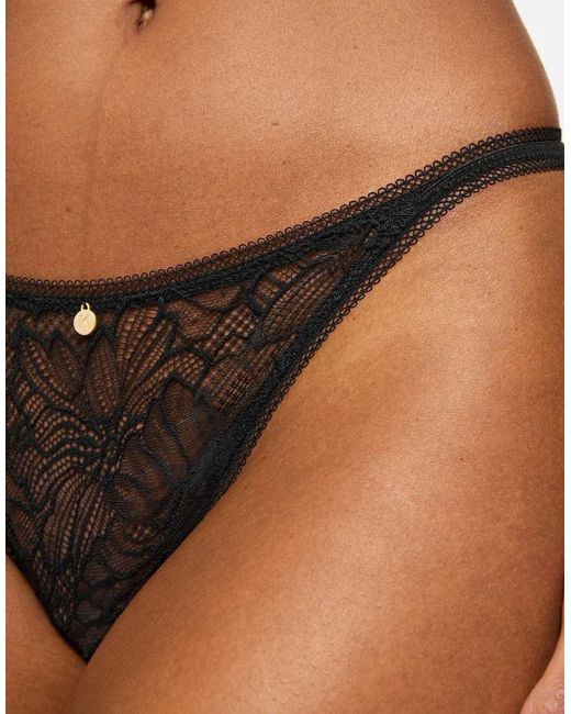 KBX Brown Knickerbox Alice String