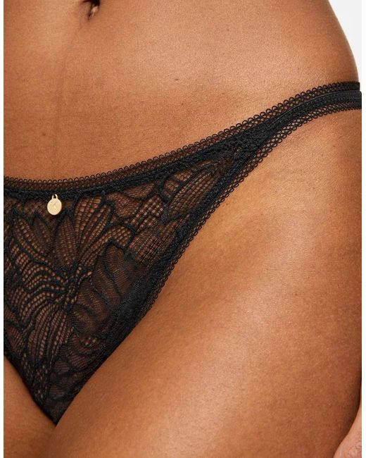 KBX Brown Alice String