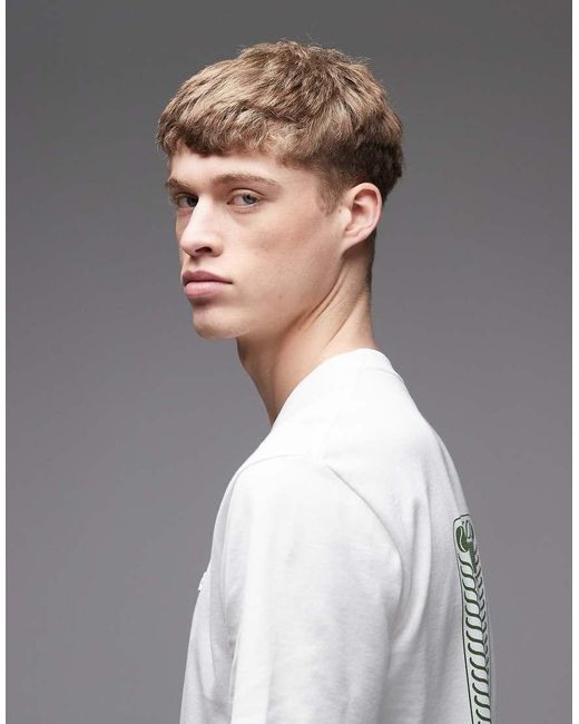 Lacoste Gray Tennis Court Back Graphic T-shirt for men
