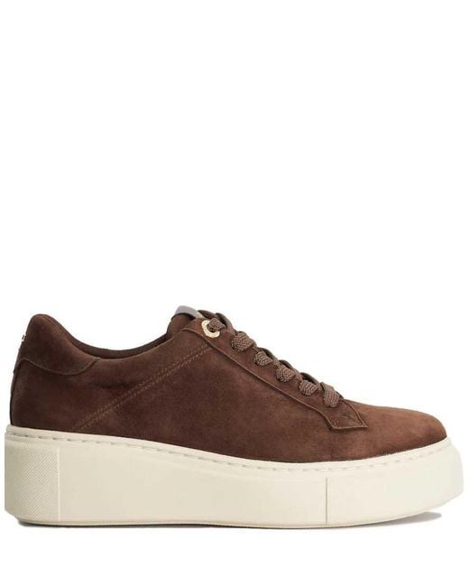 Dune Brown Evienne Trainers