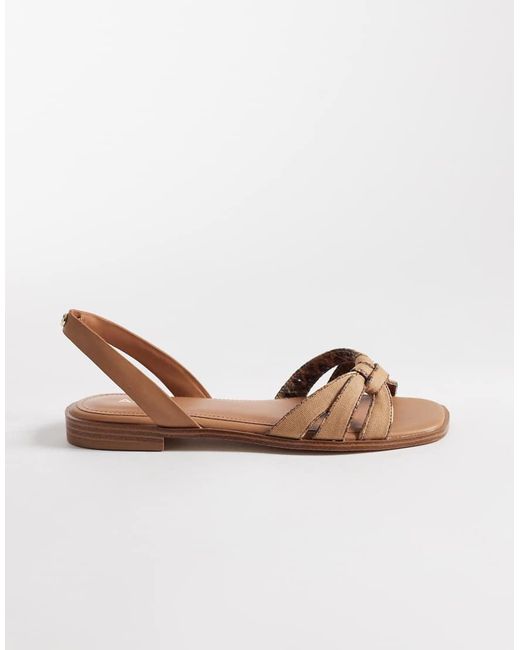 ALDO Brown Adwiedan Flat Sandal