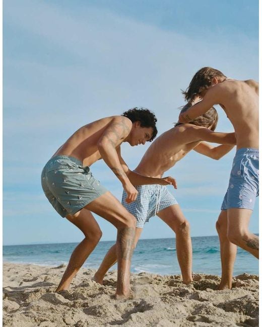 Pull&Bear Blue Embroidered Board Shorts for men