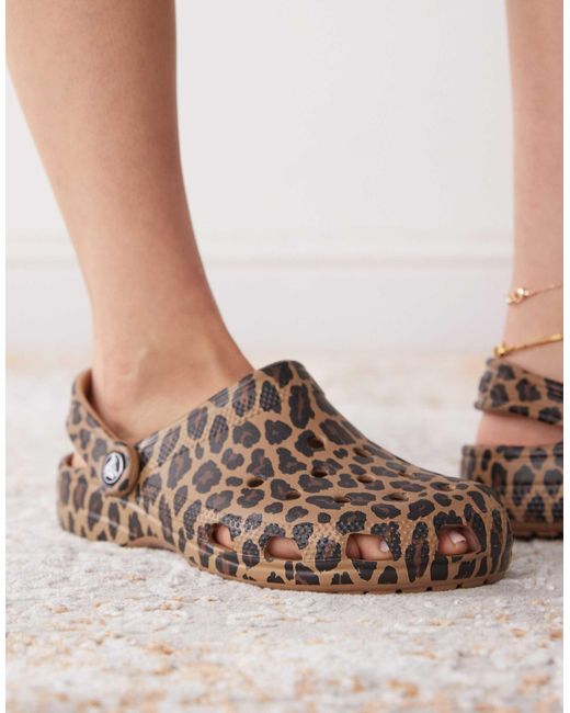 CROCSTM Brown – classic – clogs