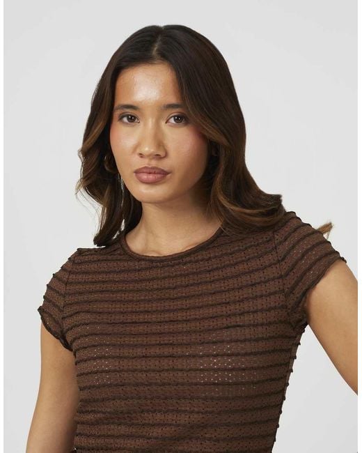 Brave Soul Brown Textured Jersey Stripe Short Sleeve Top