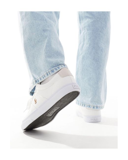 Polo Ralph Lauren Sayer - Canvas Sneaker Met Gekleurde Polospeler in het White voor heren