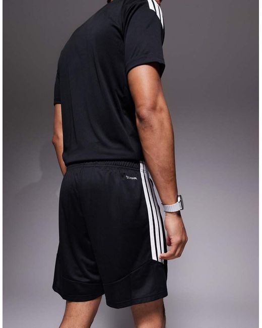 Adidas Originals Blue Adidas Football Tiro 26 Shorts for men