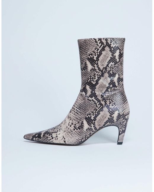 TOPSHOP Gray – neeve – ankle-boots aus hochwertigem leder mit schlangenprint und hohem absatz