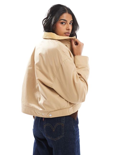 Tommy Hilfiger Natural Twill Worker Jacket With Cord Collar
