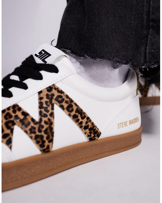 Steve Madden Blue Degree Lace Up Trainers