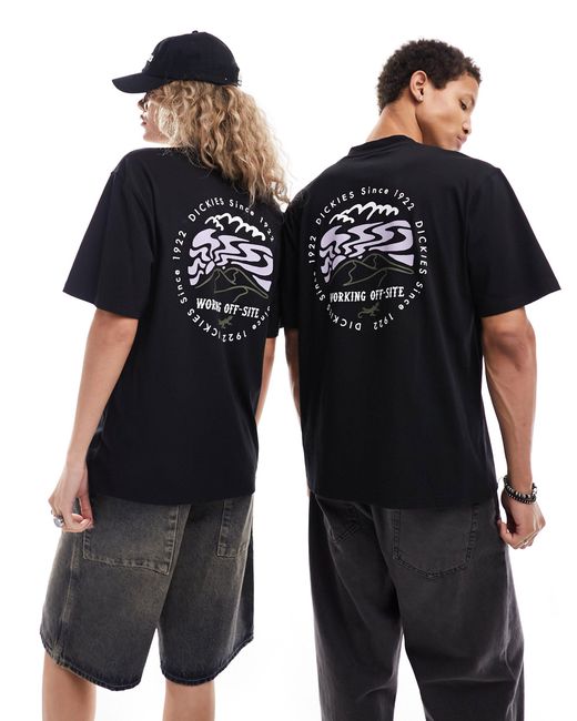Camiseta negra con estampado en la espalda stanardsville Dickies de color Black