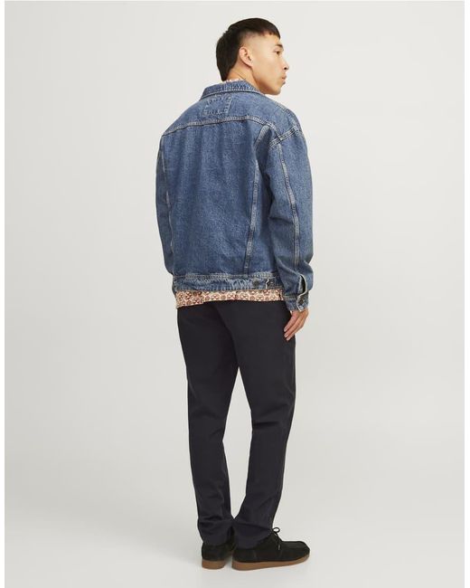 Jack & Jones Blue Chino Trousers for men