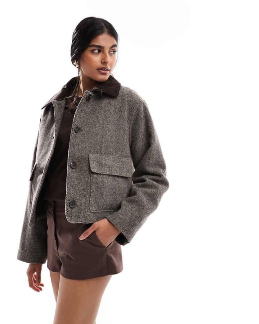 ASOS Jack Van Wolmix Met Kraag in het Brown