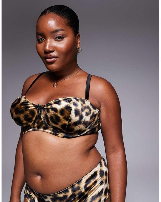 ASOS Brown Asos Design Curve Kora Leopard Velvet Underwired Balcony Bra