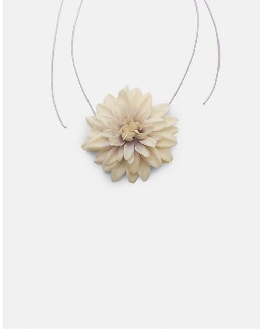 Stradivarius Choker Met Stoffen Bloem in het White