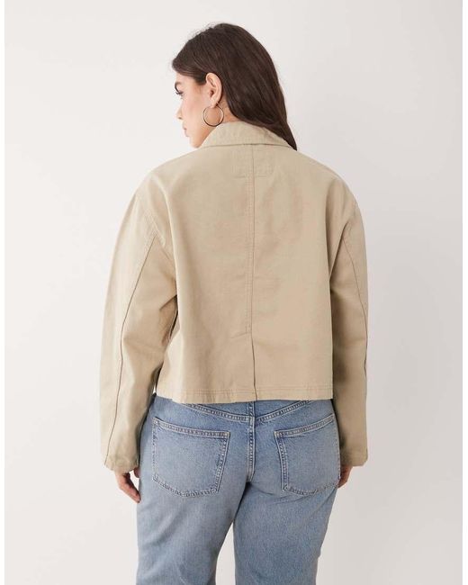 ASOS Natural Asos Design Curve Short Cotton Harrington Jacket