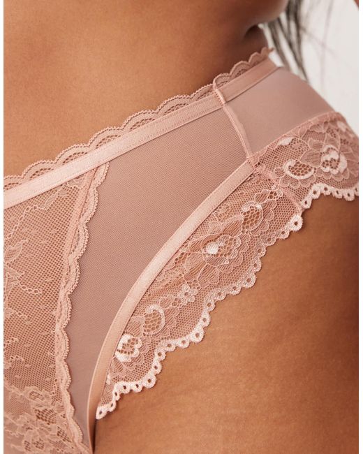 ASOS Brown Asos design curve – ivy – brasilianischer slip aus durchgängiger spitze