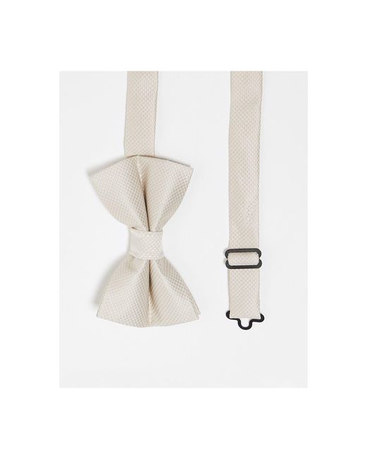 ASOS White Bow Tie for men