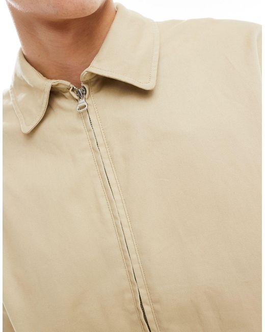 Stwd - giacca color pietra di Pull&Bear in White da Uomo