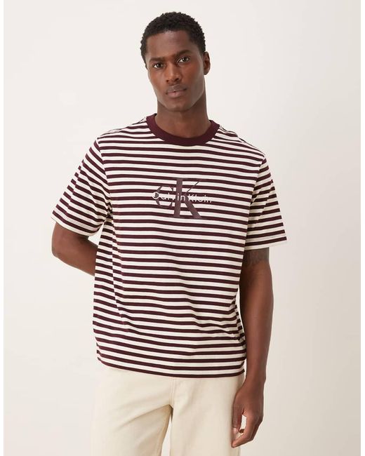 Calvin Klein Brown Calvin Klein Stripe Monologo T-Shirt for men