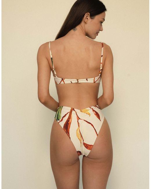 Montce Natural Paula Bikini Bottom