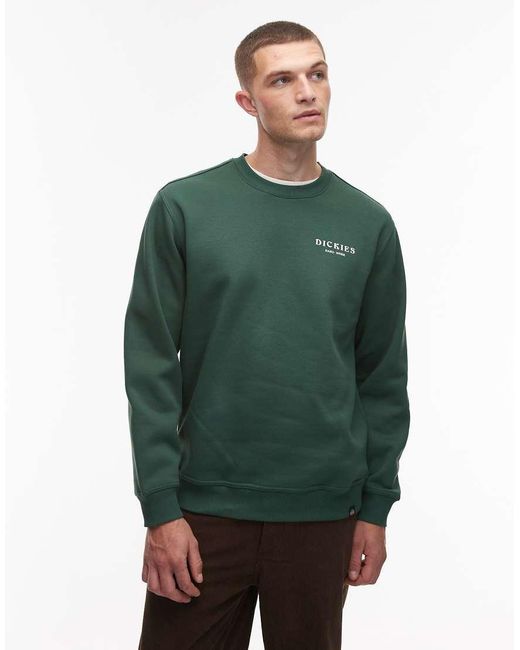 Sudadera Con Estampado Gráfico En La Espalda Oatfield De Dickies de hombre de color Green