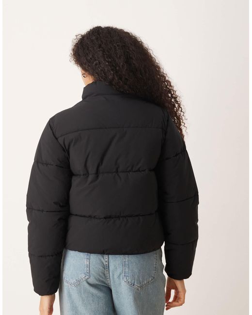 Summerdale - doudoune oversize Dickies en coloris Black