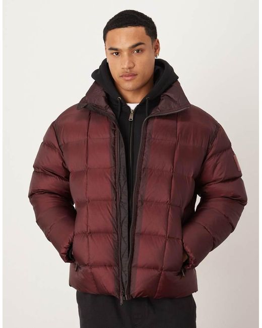 Calvin Klein Red Ripstop Quilted Two-tone Puffer Jacket for men