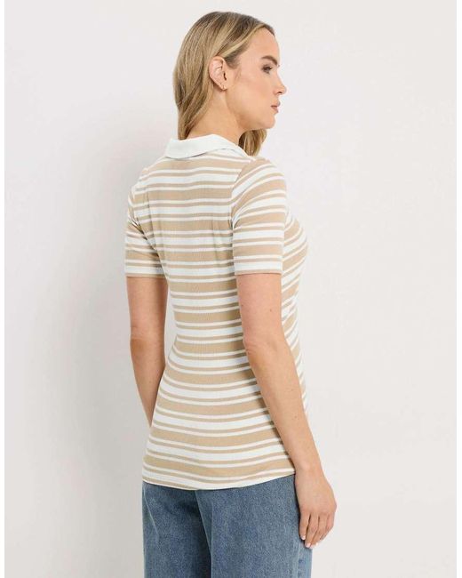 Long Tall Sally White Stripe Polo Top