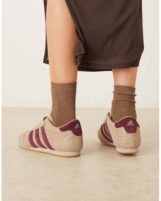 Adidas Originals Natural Taekwondo Trainers for men