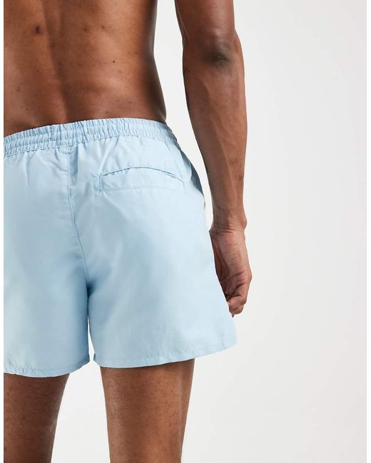 Aray Blue Swim Shorts for men