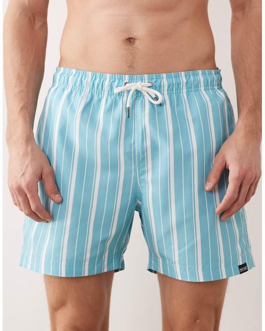 Regatta Blue Quick-Dry Loras Swim Shorts for men
