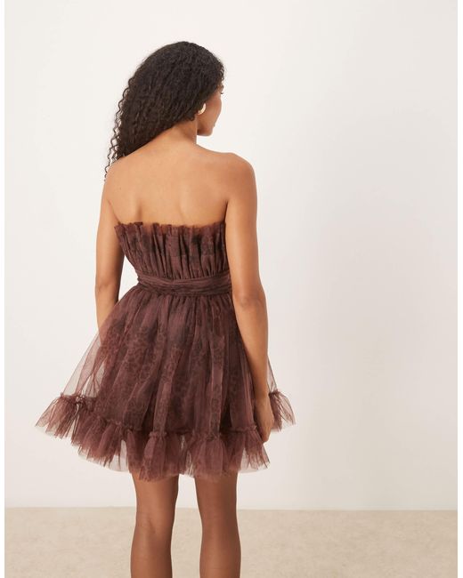 LACE & BEADS Natural Bandeau Structured Mini Dress