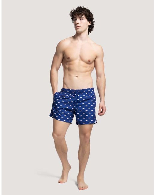 Apreslife Blue Pigs Swim Shorts for men