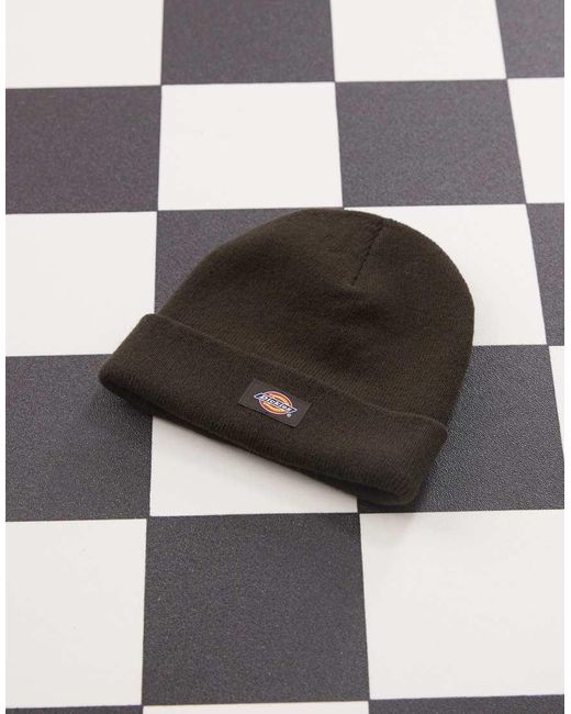 Gibsland di Dickies in Black