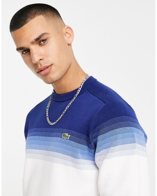 Lacoste Blue Stripe Crew Neck Jumper for men