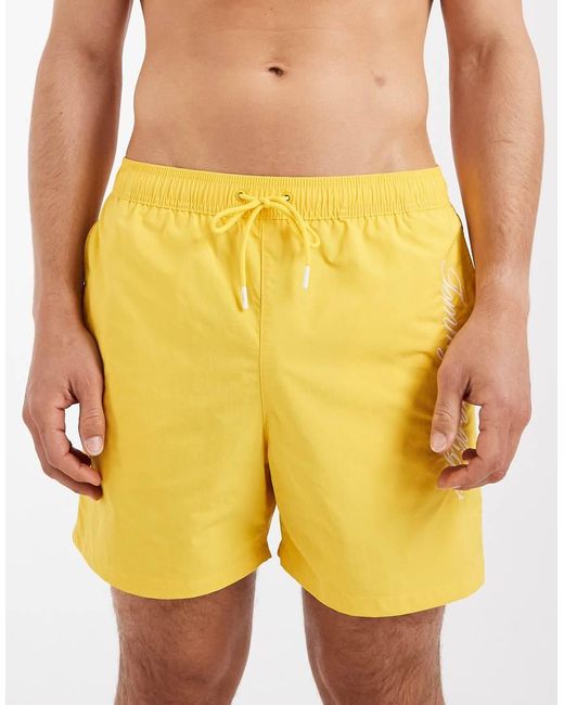 Tommy Hilfiger Green Resort Drawstring Swim Short for men